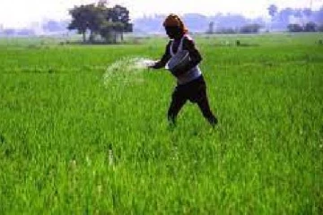 விவசாயிகளுக்கு நட்டஈடு -அரசாங்கம் அறிவிப்பு