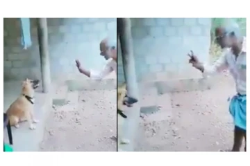 அடடா... என்னா அறிவு... குறைத்துக் காட்டி கணக்கு சொல்லும் நாய்!