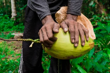 தேங்காய் உரித்துக்கொண்டிருந்தவர் கொலை; நடந்தது என்ன?