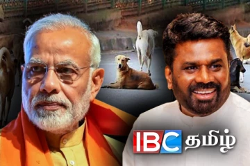 மோடி வருகை - தெருநாய்களை அகற்ற வேண்டாம்!! இந்தியாவில் இருந்து அநுரவுக்கு கடிதம்