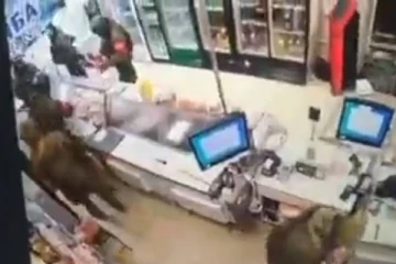 உக்ரைனில் கொள்ளையடித்த ரஷ்ய வீரர்கள்! சிசிடிவி-யில் சிக்கிய காட்சி