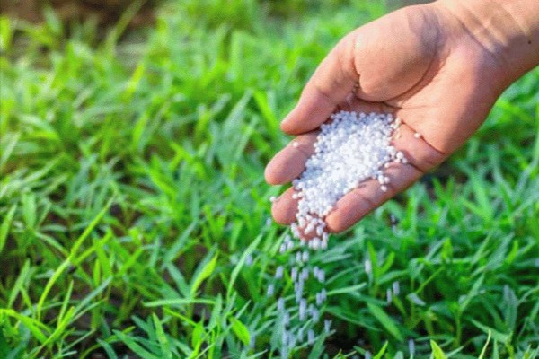 உர விலை அதிகரிப்பு தொடர்பில் வெளியான தகவல் | Fertilizer Price Hike
