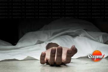 අනේ දෙවියනේ මෙහෙමත් මිනිස්සු, අම්මා මරලා බිරිදටත් පිහියෙන් ඇනලා පොලීසියටත් භාර වෙලා