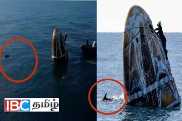 பூமிக்கு திரும்பிய சுனிதா வில்லியம்ஸ் குழுவினரை வரவேற்ற டொல்பின்கள் (வைரலாகும் காணொளி)