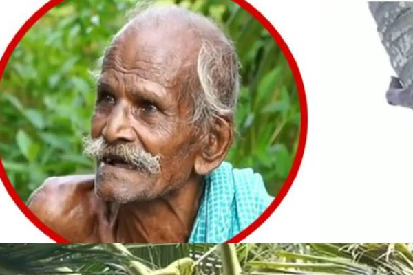 112 வயதிலும் மிகப்பெரிய சாதனை வீரராக மாறிய தாத்தா! அப்படி என்ன செய்தார் தெரியுமா? | Grandfather Greatest Record Even At The Age Of 112