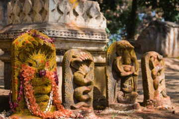 உங்களுக்கு நாகதோஷம் இருக்கா? இதனை போக்க இதோ சில எளிய பரிகாரங்கள் !