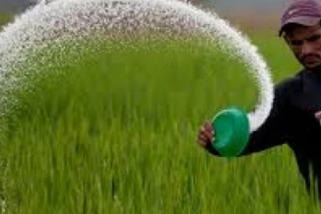 මහ කන්නයට අවශ්‍ය පොහොර ලැබෙන්නේ මෙහෙමයි - විෂයභාර අමාත්‍යවරයාගෙන් ප්‍රකාශයක්..