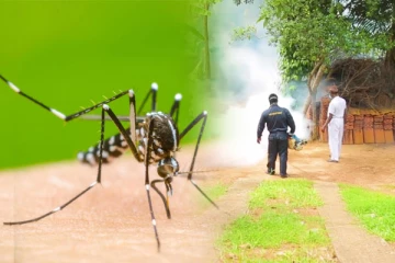 இலங்கையில் டெங்கு வாரம் பிரகடனம்