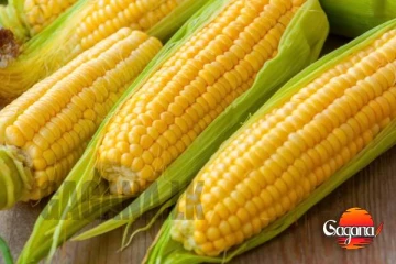 ත්‍රිපෝෂ සඳහා විදේශ බඩඉරිඟු