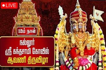 நல்லூர் கந்தசுவாமி கோவில் கார்த்திகை உற்சவ மாலை திருவிழா (LIVE)