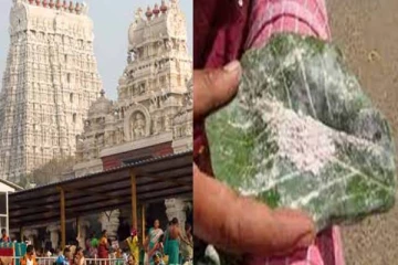 நோய்களை தீர்க்கும் திருச்செந்தூர் கோயிலின் பன்னீர் இலை விபூதி பிரசாதம்