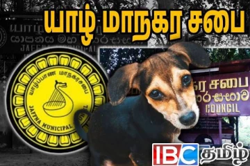 யாழ் மக்களிடையே விமர்சனத்திற்குள்ளான நகர சபையின் திட்டம்