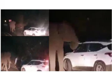 கோத்தகிரி மலைப்பாதையில் காரை வழிமறித்த காட்டு யானை... - பதற வைக்கும் வீடியோ