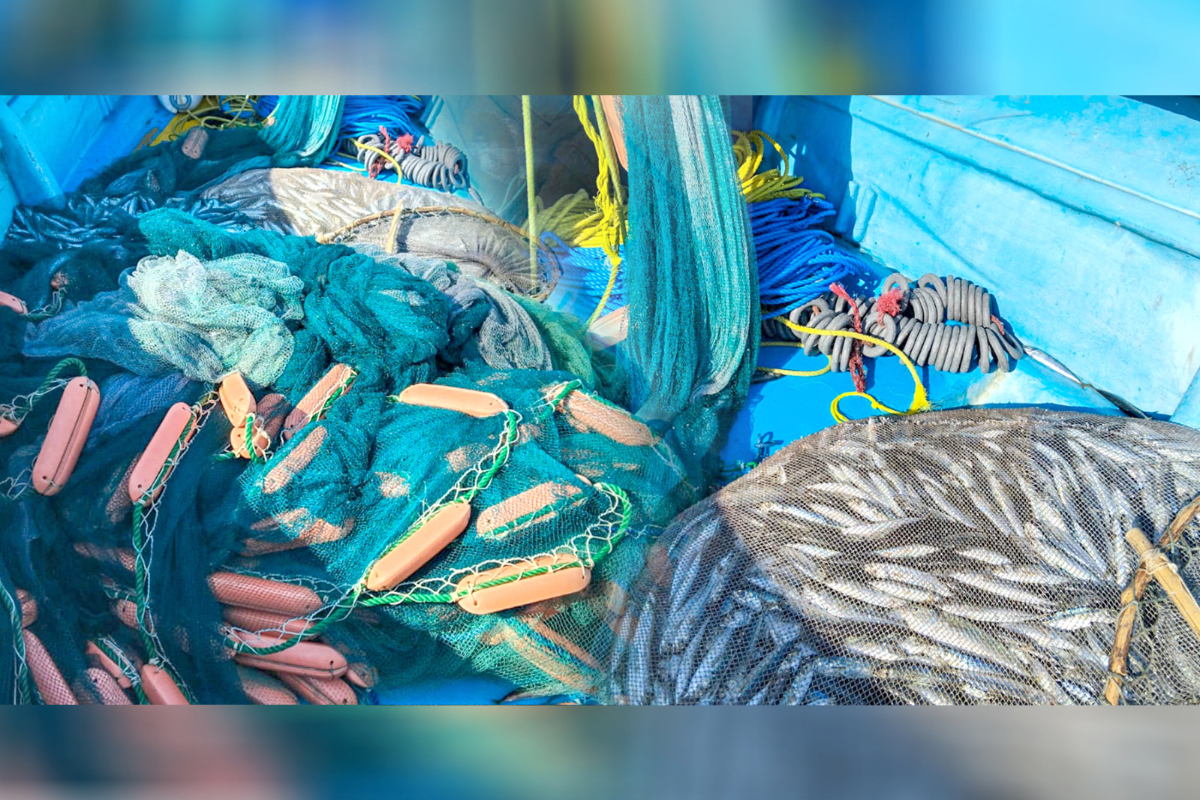 வடக்கு, கிழக்கில் 55 பேர் கைது; வெளிவந்த சட்டவிரோத செயற்பாடுகள் | 55 Arrested In Sri Lanka S North And East வடக்கு, கிழக்கில் 55 பேர் கைது; வெளிவந்த சட்டவிரோத செயற்பாடுகள் | 55 Arrested In Sri Lanka S North And East