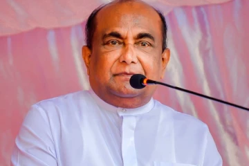 நாட்டின் நெருக்கடிக்கு ராஜபக்சர்கள் காரணமல்ல; சபாநாயகர்