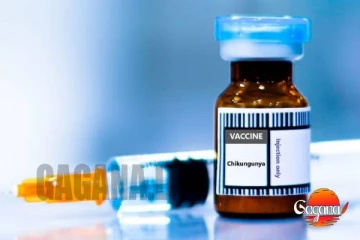 චිකන්ගුන්යා හඳුනාගන්න අවශ්‍ය රසායනික කට්ටල රටේ නෑ…