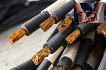 திருடுவதற்கு 20 ஆயிரம் மாத சம்பளம்! கமெராவில் சிக்கிய கும்பல்