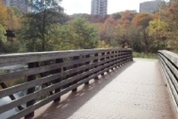 கனடாவில் மோசமான செயலில் ஈடுபட்ட 12 வயது சிறுவன் கைது