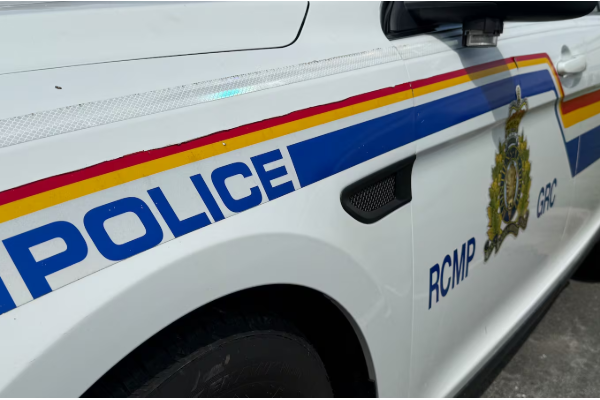 கனடாவில் முப்பரிமாண அச்சாக்க துப்பாக்கிகளுடன் ஓருவர் கைது | Pei Man Accused Of 3D Printing Guns