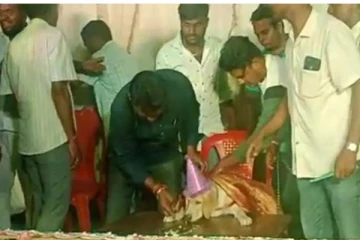 நாயின் பிறந்தநாளுக்கு 100 கிலோ கேக் வெட்டிய தொழிலதிபர்! 5000 பேருக்கு விருந்து