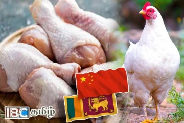இலங்கையிலிருந்து சீனாவுக்கு கோழி இறைச்சி ஏற்றுமதி : வெளியான தகவல்