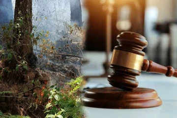 ஹட்டனில் பைனஸ் காட்டுக்கு தீ வைத்த சந்தேக நபருக்கு அபராதம்