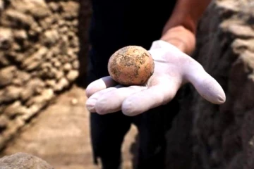 1000 ஆண்டுகள் பழமையான கோழி முட்டை கண்டெடுப்பு! எந்த நாட்டில் தெரியுமா?