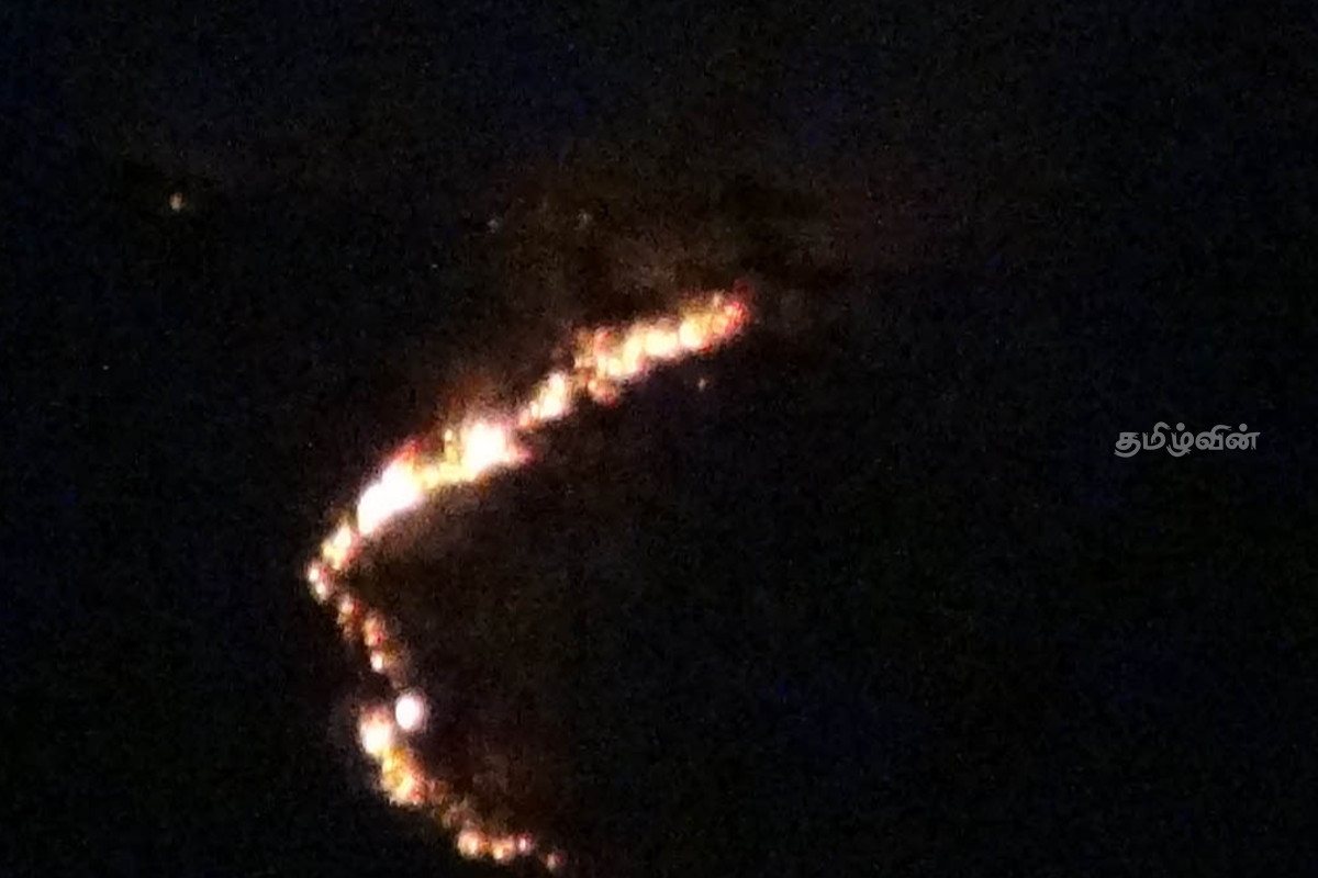 திம்புல்ல- யுலிபீல்ட் வனப்பகுதிக்கு தீ வைப்பு | Fire In The Ulifield Forest Area