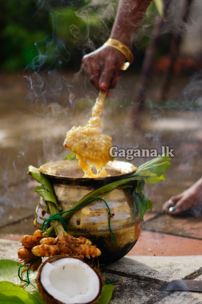 සුබ තෛපොංගල් දිනයක් වේවා ! | Happy Thai Pongal
