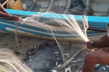 யாழ் மீனவரின் வலையில் சிக்கிய கை குண்டு!