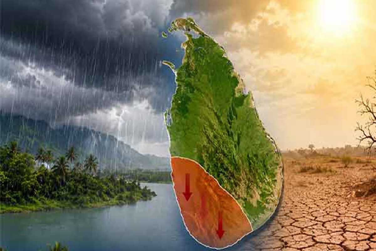 இலங்கையில் உணவு பஞ்சம் : விவசாய அமைச்சர் வெளியிட்ட அறிவிப்பு | Food Famine In Sri Lanka இலங்கையில் உணவு பஞ்சம் : விவசாய அமைச்சர் வெளியிட்ட அறிவிப்பு | Food Famine In Sri Lanka