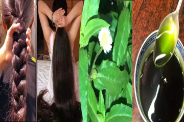 முடி உதிர்வை தடுக்கும் எண்ணெய்: வீட்டில் செய்ய இந்த இலை இருந்தால் போதும்