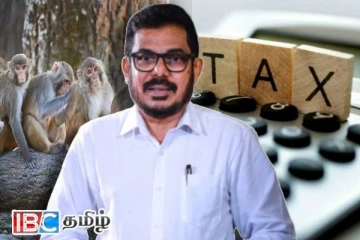 முறையாக வரி செலுத்தினாலே குரங்கு பிரச்சினைக்கு தீர்வு : அசோக ரன்வல