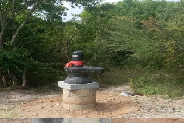 யாழில் திடீரென தோன்றிய சிவலிங்கம்!(Photos) | Shivalingam Suddenly Appeared In Jaffna