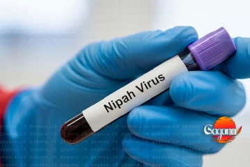 නිපා වයිරසය උඩු දුවයි - කාන්තාවක් මරුට