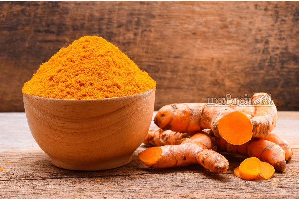 மீனா கணவர் உயிரைப் பறித்த நுரையீரல் தொற்று! நுரையீரலை பாதுகாக்க எந்தெந்த உணவு உட்கொள்ள வேண்டும்? | Actress Meena Husband Death Lungs Safe Food Tamil