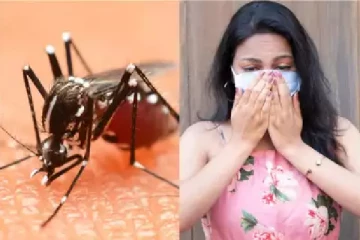 சிறார்களை அச்சுறுத்தும் கொவிட், டெங்கு!! அவதானமாக இருக்குமாறு ஆலோசனை