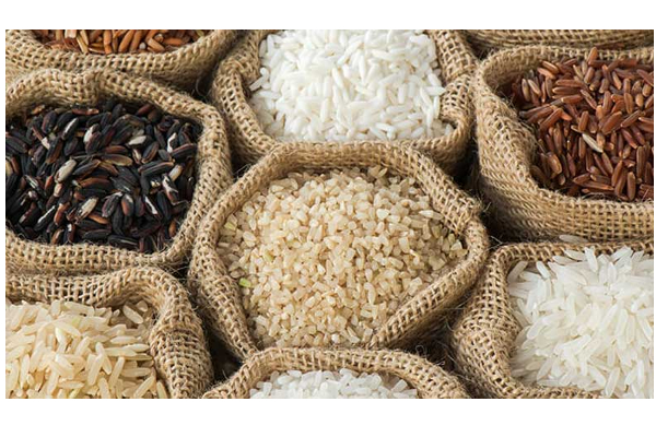 அரிசி விலை குறித்து மக்களுக்கு கிடைத்த மகிழ்ச்சி செய்தி | Good News For The People About The Price Of Rice
