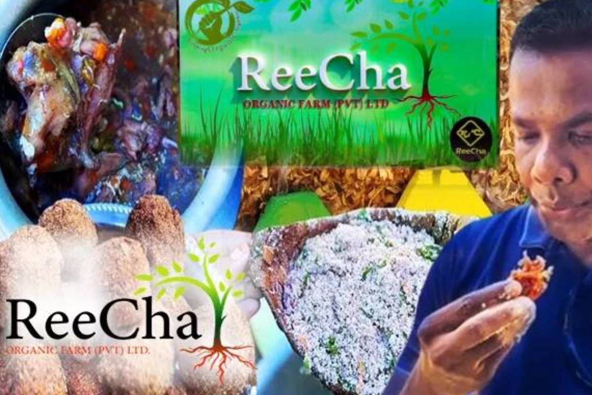 பாரம்பரிய உணவுகளை ருசிக்க திரண்ட மக்கள் ; அட்சய பாத்திரம் உணவுத் திருவிழா இடைநிறுத்தம் | Reecha Akshaya Pattharam Food Festival Suspended