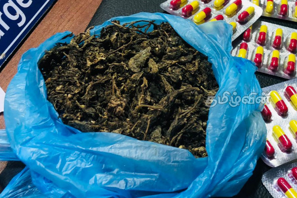யாழில் போதை மருந்து வில்லைகளுடன் பெண்ணொருவர் கைது(Photo) | A Woman Was Arrested With Drugs In Jaffna