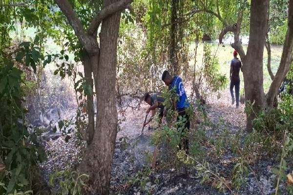 மட்டக்களப்பு பறவைகள் சரணாலயத்தில் தீப்பரவல்! | Fire Breaks Out At Batticaloa Bird Sanctuary