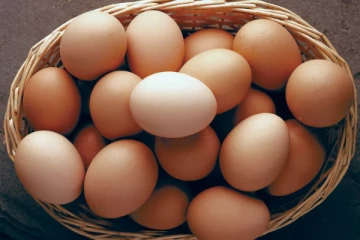 இலங்கையில் முட்டையின் விலையில் திடீர் மாற்றம்