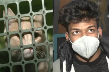 உக்ரைனில் இருந்து மும்பைக்கு வருகை தந்த 392 இந்தியர்கள்!