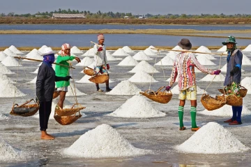 ලුණු නිෂ්පාදනය සම්බන්ධයෙන් සුබ ආරංචියක්