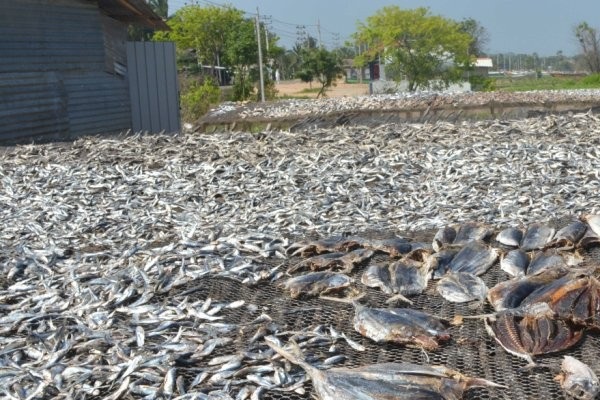 தமிழ் தரப்பிடம் ஒற்றுமை வேண்டும் - செல்வம் அடைக்கலநாதன் வலியுறுத்து | Tamil Side Needs Unity Selvam Adhikalanathan