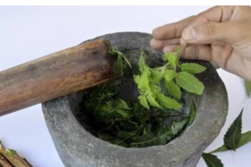 துளசியை யாரெல்லாம் சாப்பிடக் கூடாது தெரியுமா? குறிப்பாக சர்க்கரை நோயாளிகள்! பலருக்கும் தெரியாத தகவல்