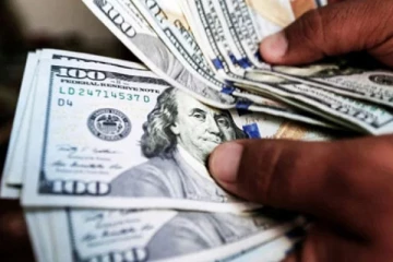 புலம்பெயர் இலங்கையர்களால் நாட்டுக்கு கிடைத்த பெருந்தொகை டொலர்