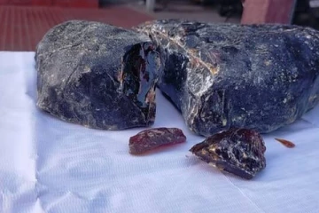 அம்பருடன் சந்தேகநபர்கள் இருவர் கைது - செய்திகளின் தொகுப்பு