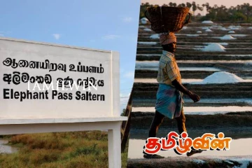 ஆனையிறவு உப்பளம் உட்பட உப்பளங்களை முழுமையாக செயற்படுத்த நடவடிக்கை