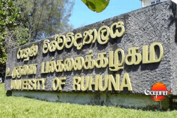 අත්අඩංගුවට ගත් රුහුණේ සරසවි සිසුන් 21 දෙනාම 28 තෙක් රිමාන්ඩ්